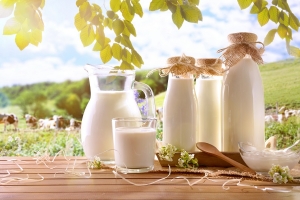 Badanie nt. wpływu unijnej strategii „Od pola do stołu” na rozwój sektora mleczarskiego w Polsce