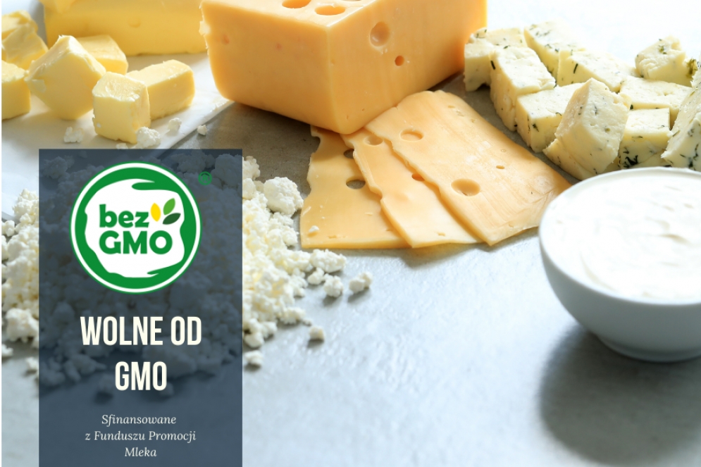 Wiodące mleczarnie produkują bez GMO