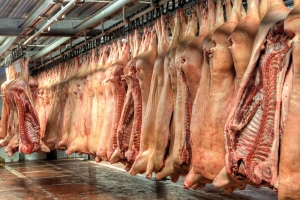 Znaczenie centrów dystrybucyjnych i logistycznych na rynku mięsnym