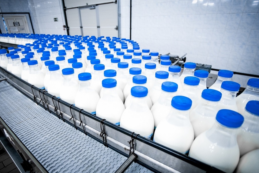 Cena mleka w skupie najwyższa od 3 lat