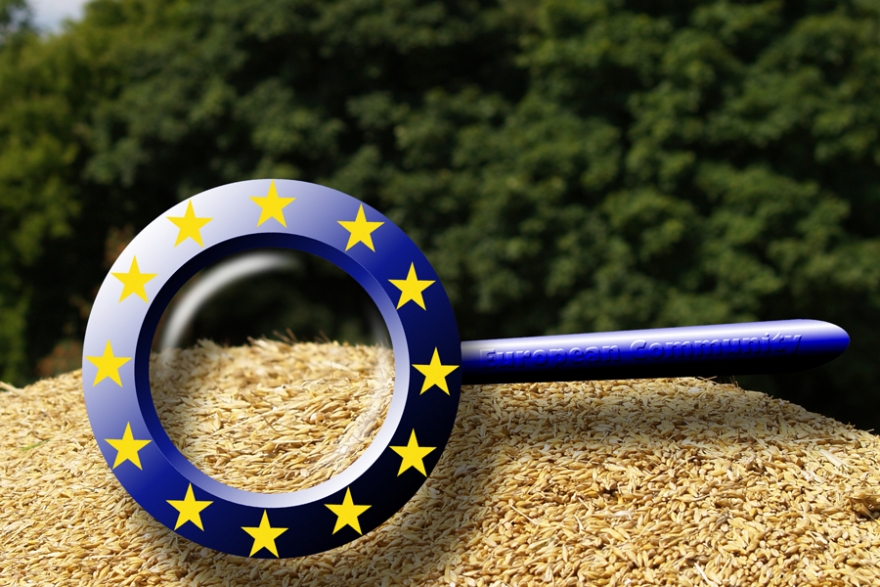 Minister rolnictwa: Wspólną politykę rolną czeka duży wstrząs. Nowa strategia UE dla rolnictwa może ograniczyć produkcję o 20 proc.