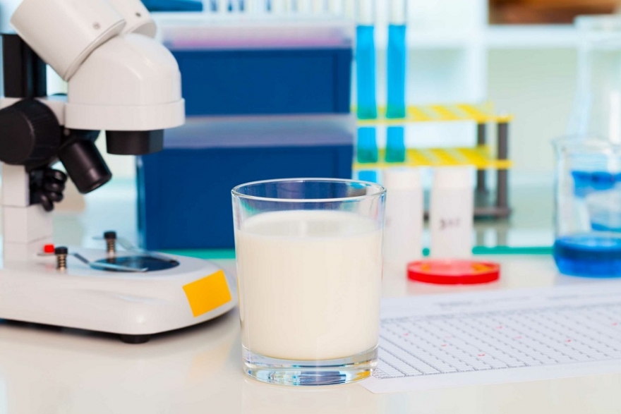 Czynniki wzrostu jako bioaktywne składniki siary oraz mleka