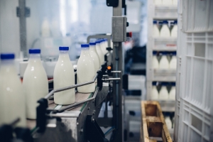 Możliwości eksportowe produktów mleczarskich na rynek nigeryjski