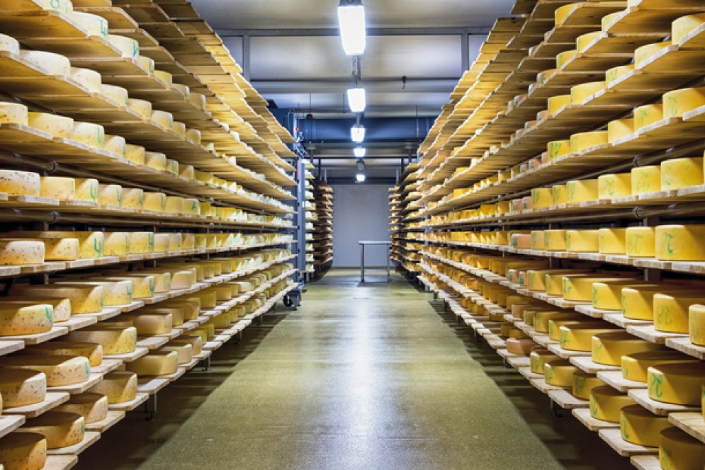 Znaczenie centrów dystrybucyjnych i logistycznych na rynku mleczarskim