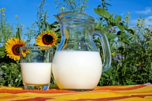 Możliwości wykorzystania mleka w przetwórstwie spożywczym