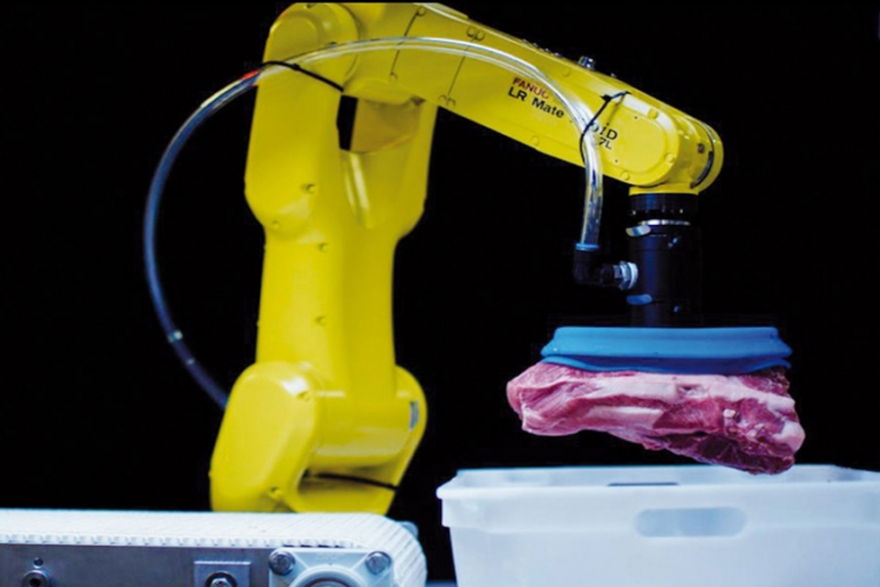 Nowy robot usprawniający procesy przenoszenia produktów mięsnych